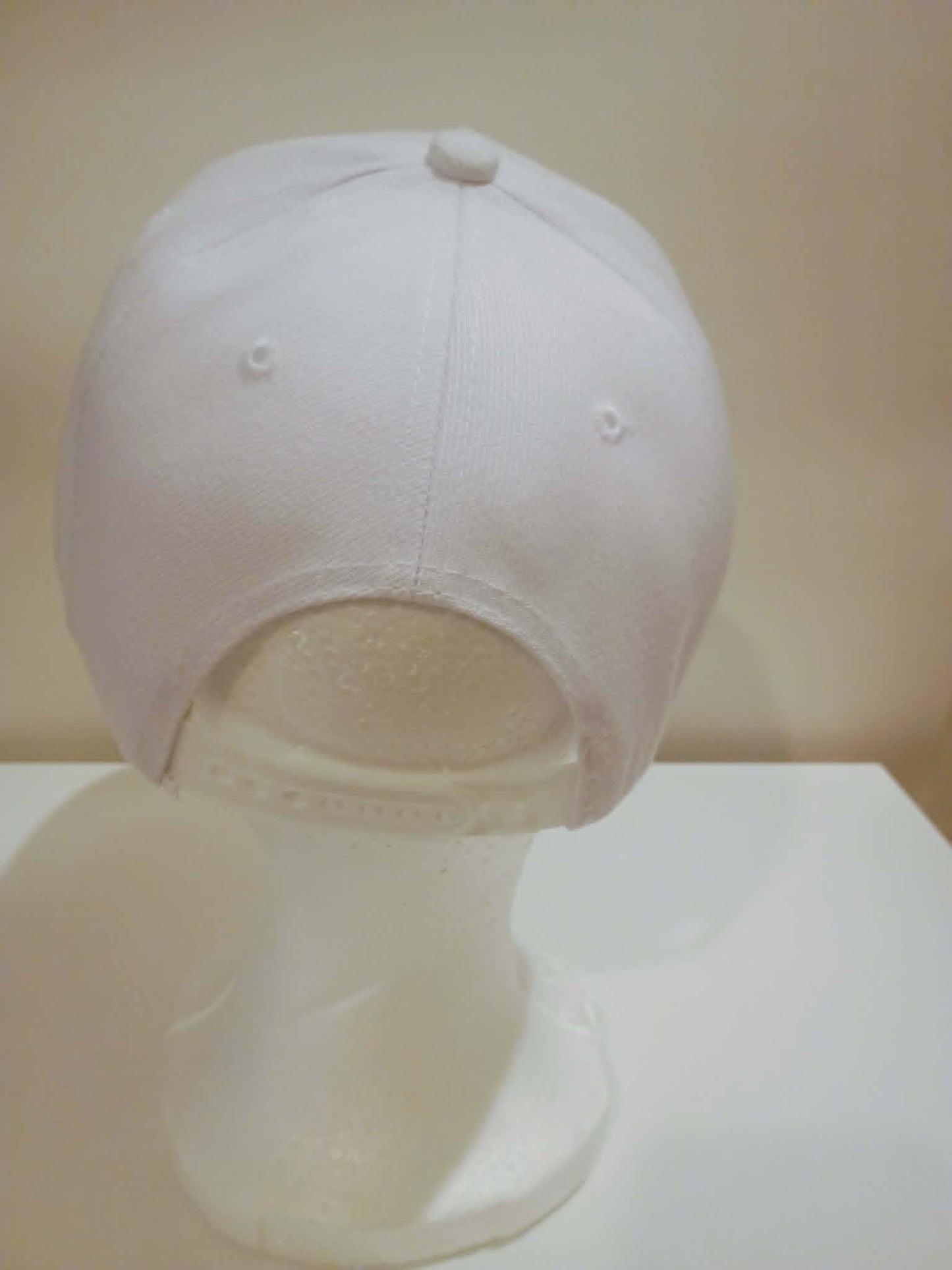 Baseball hat with patch~I don't need google