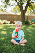 Ice pop sleeve large~watermelon