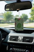Air freshener~watermelon