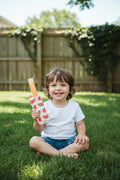 Ice pop sleeve large~watermelon slices