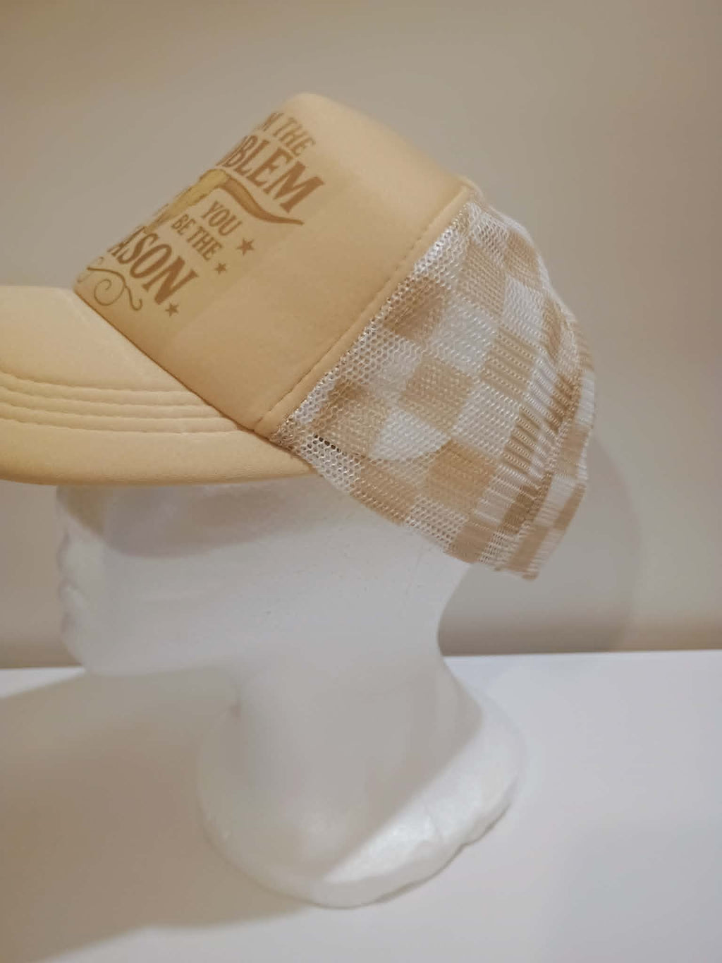 Trucker hat~If I am the problem you might be the reason