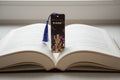 Bookmark~Just one more page