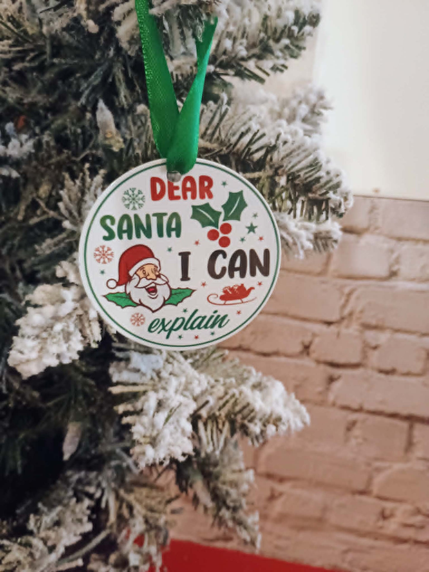 Christmas ornament~DEAR SANTA I CAN explain