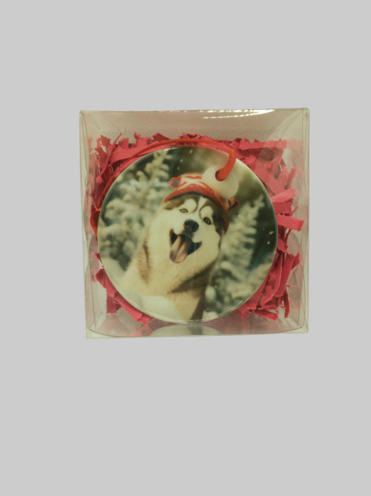 Ceramic Christmas ornament~Alaskan malamute